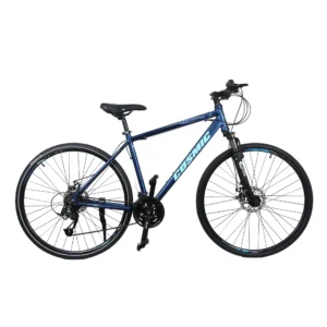Cosmic 700C Regal 21 Spd Bicycle