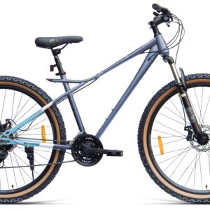 91 Black Tiger 29T 21 Speed