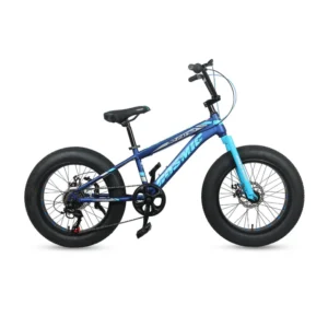 Cosmic 20 Fatso 7 Spd Bicycle