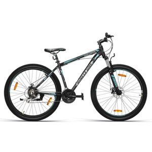 Ninety One Snow Leopard 29T 21 Speed
